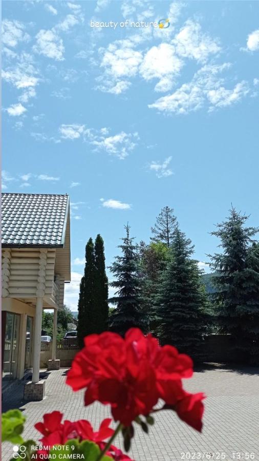 Apartament Golden Lemon *